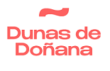  Dunas de Doñana, Playa Matalascañas